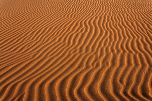 889023 (a): :2048x1365